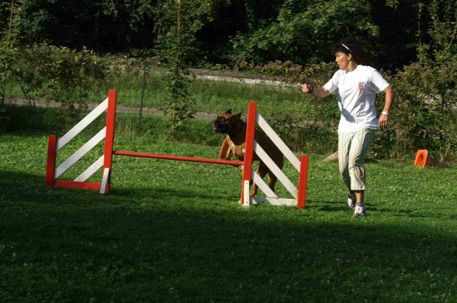 agility 2011-08